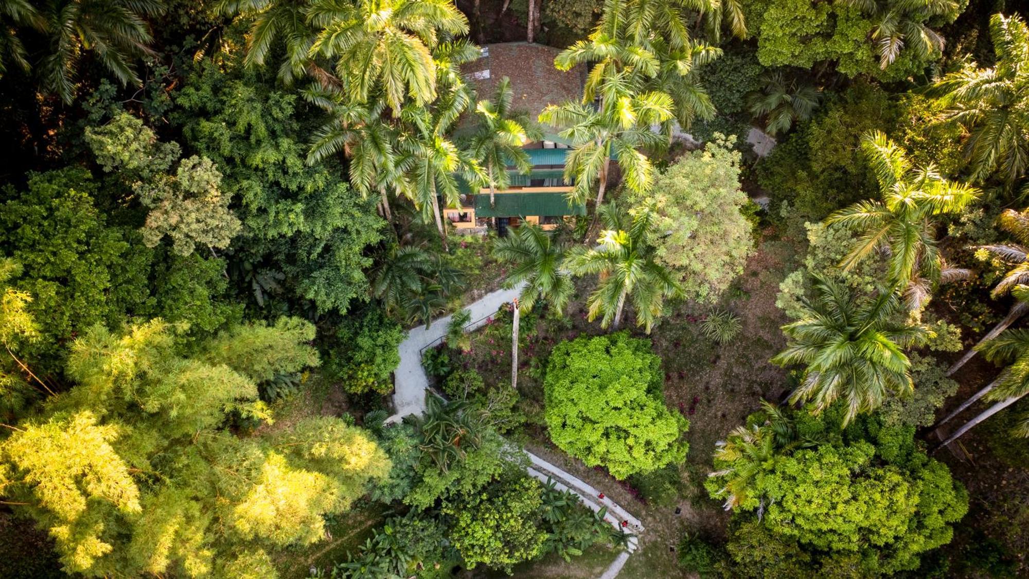 Boutique Hotel Las Cascadas Manuel Antonio Exteriör bild